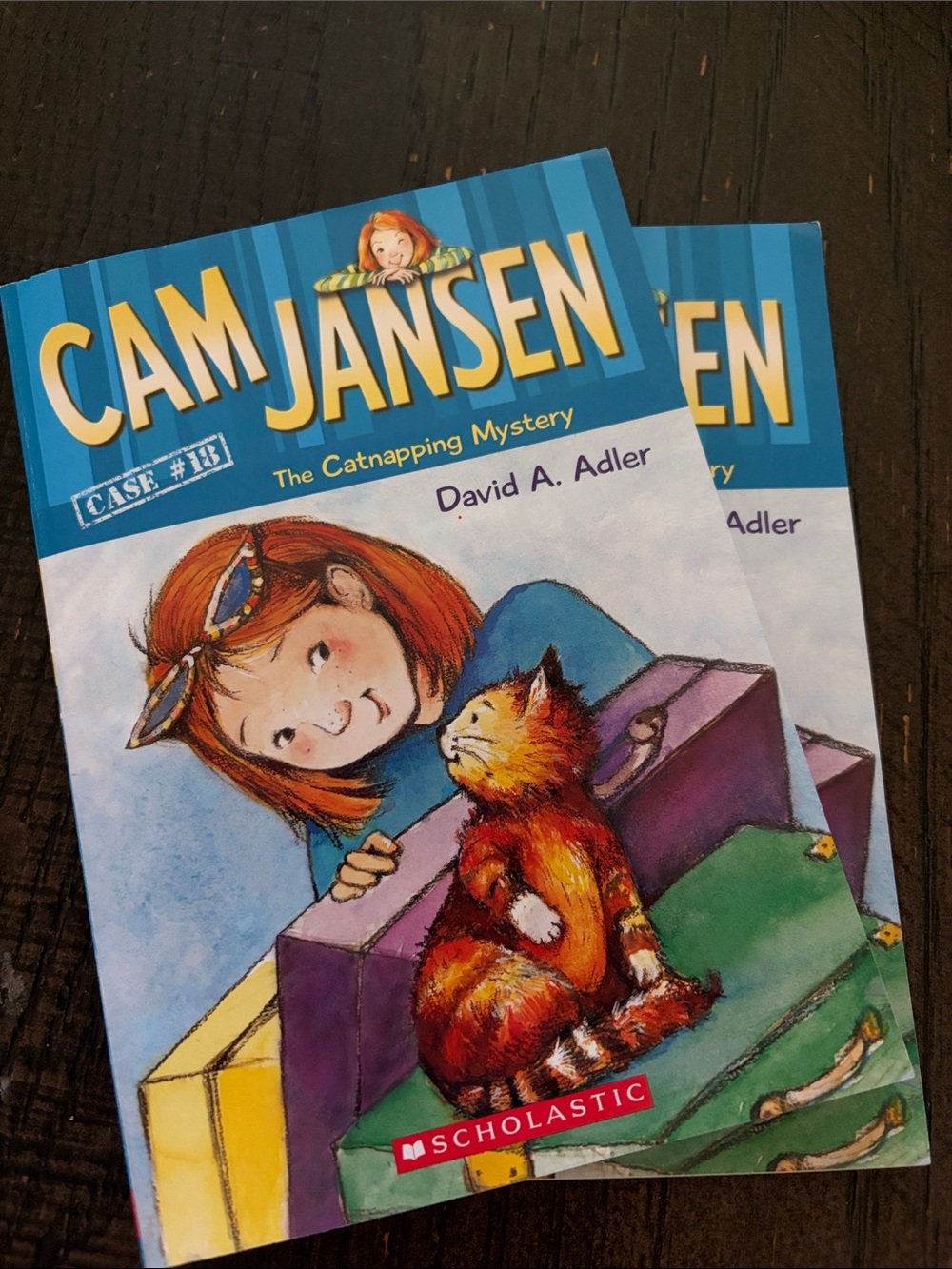 Scholastic Cam Jansen Paperback - Blue, Yellow & Multicolor Cover